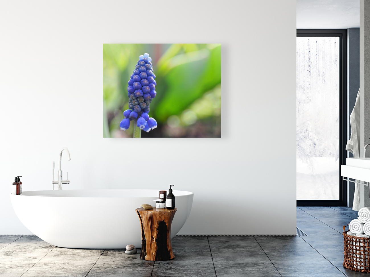 Muscari Reproduction