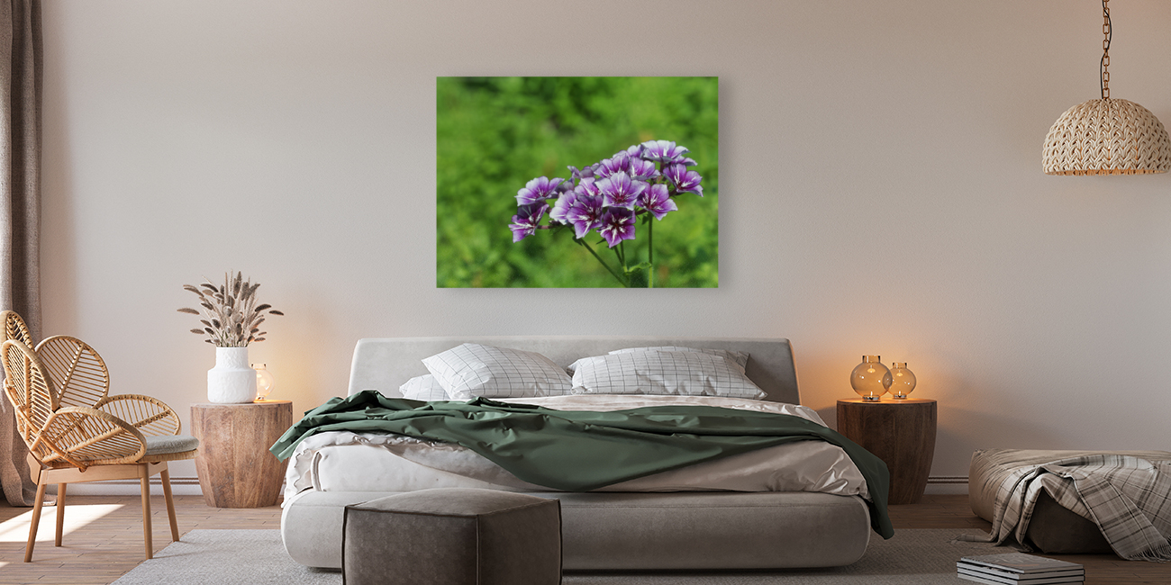 Phlox Bouquet Reproduction