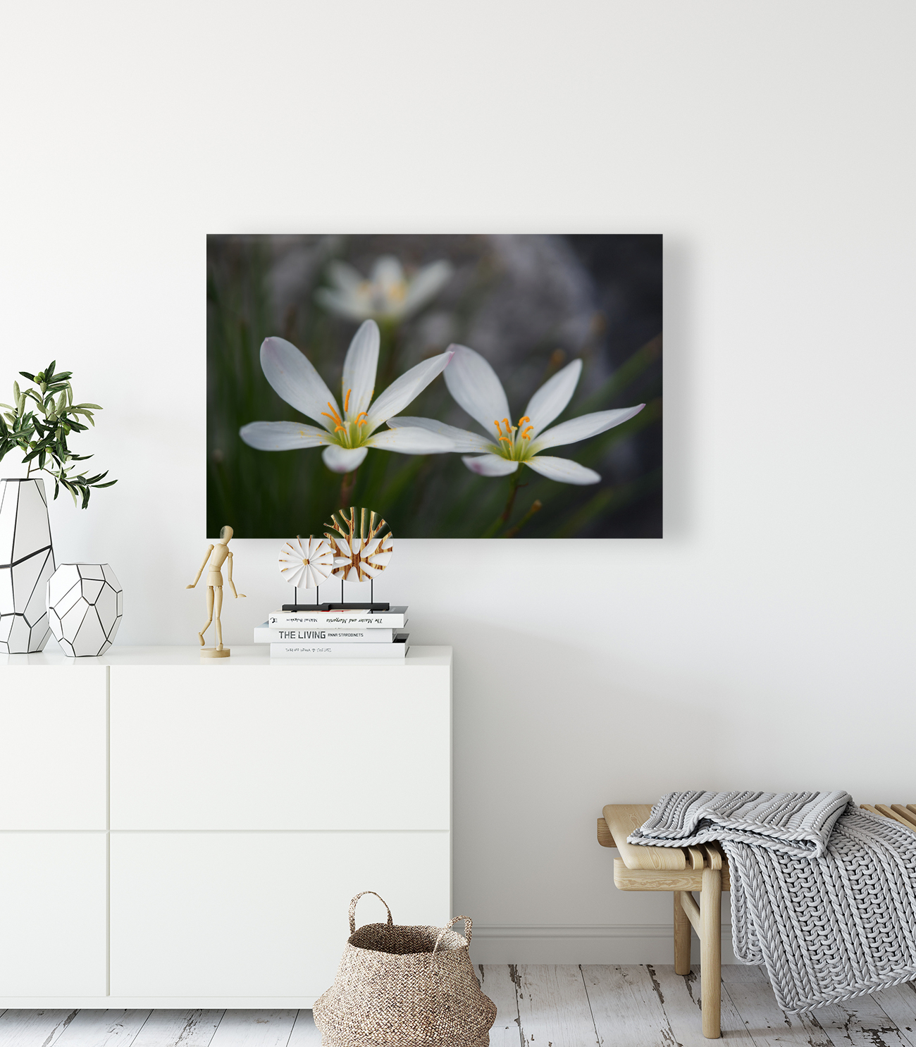 Swamp Lily Reproduction