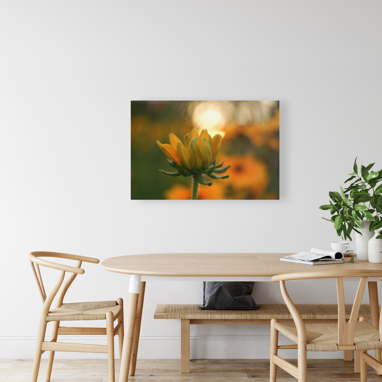 Another Day Reproduction