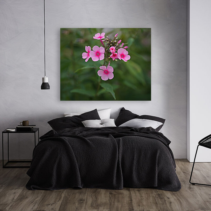 Morning Beauties Reproduction