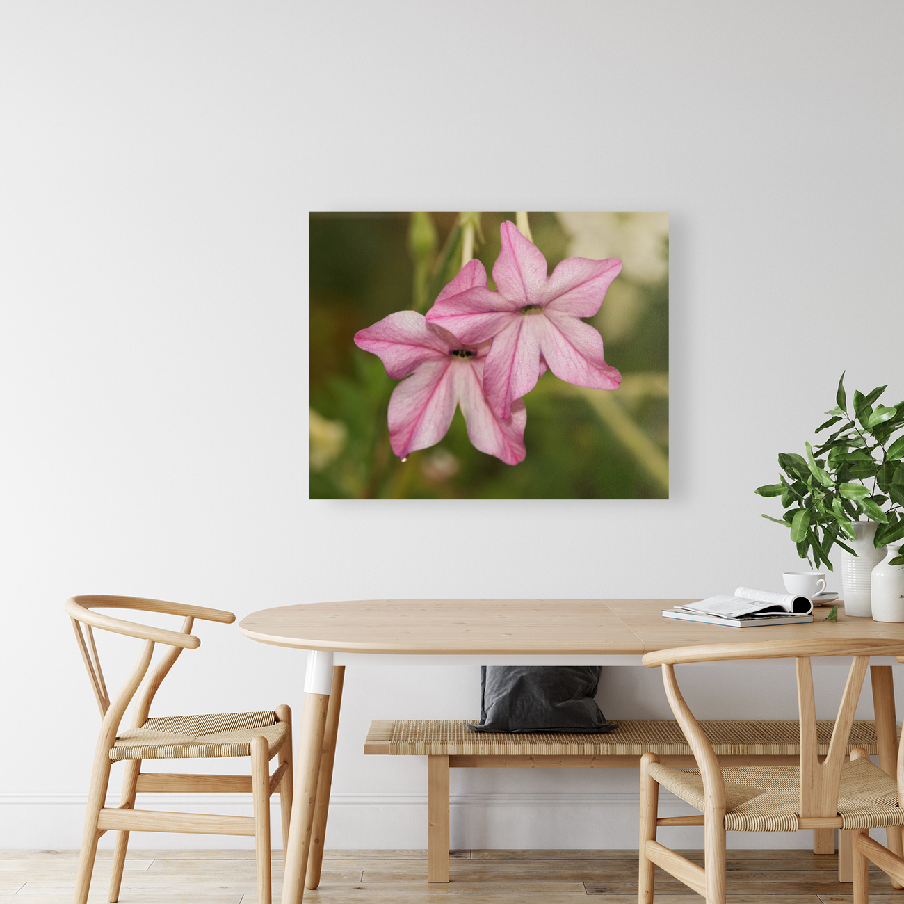 Pink Stars Reproduction