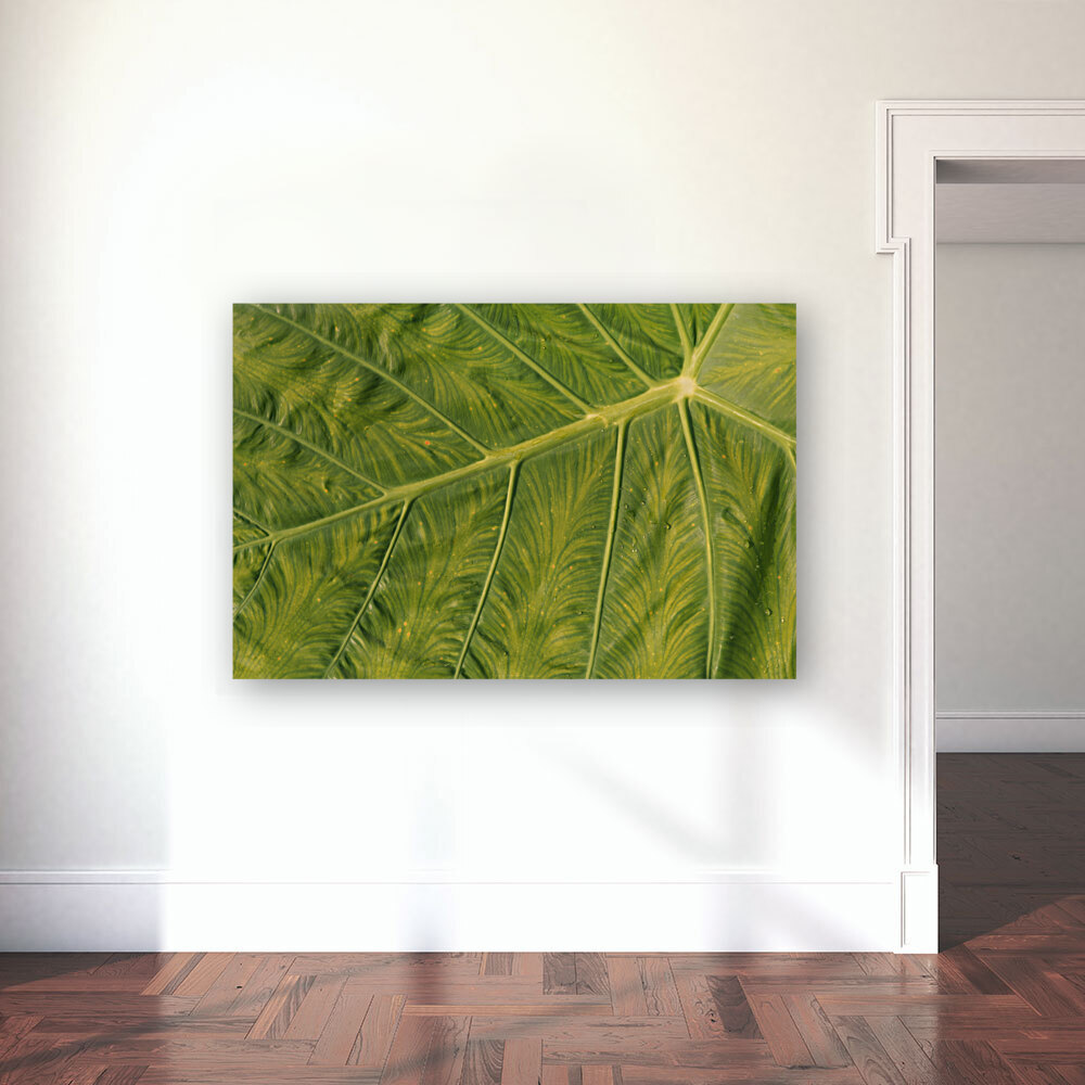 Giant  Leaf Reproduction