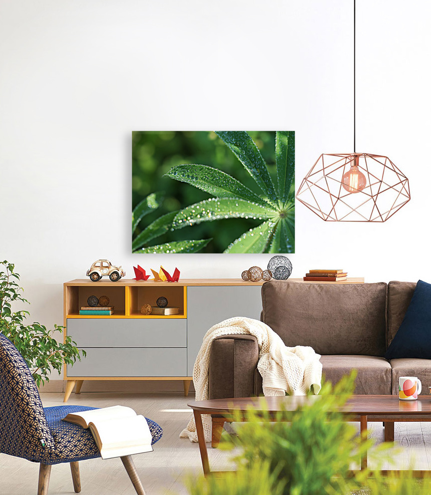 Droplets Reproduction