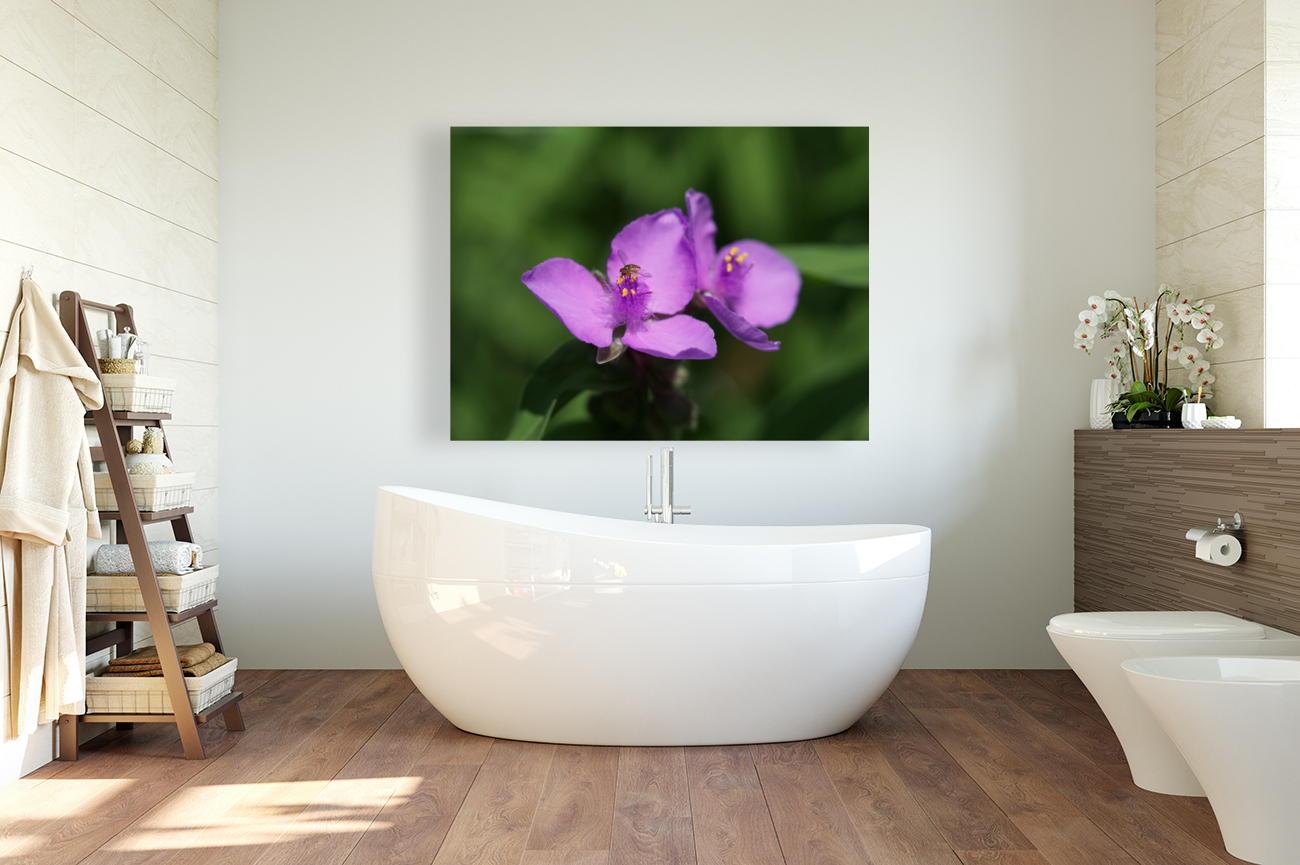 Visitor Reproduction