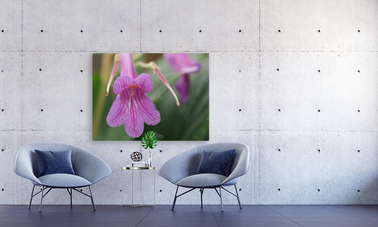 Dear Little One Reproduction