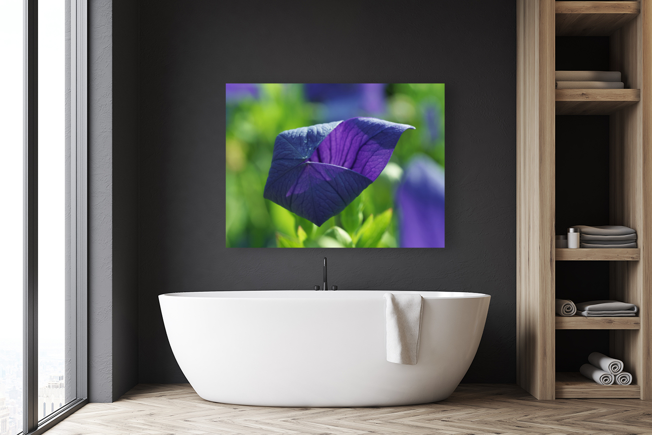 Coin coin Reproduction