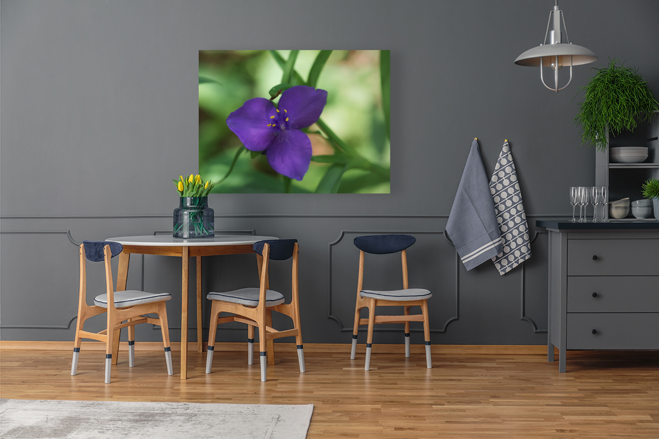 Bluejacket Reproduction