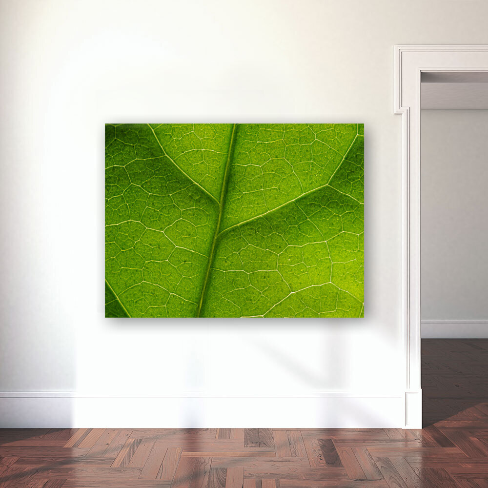 Leaf Texture Reproduction