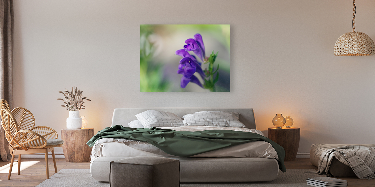 Teasers Reproduction