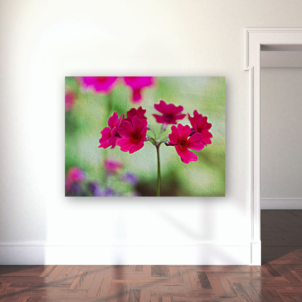 Valley Red Reproduction