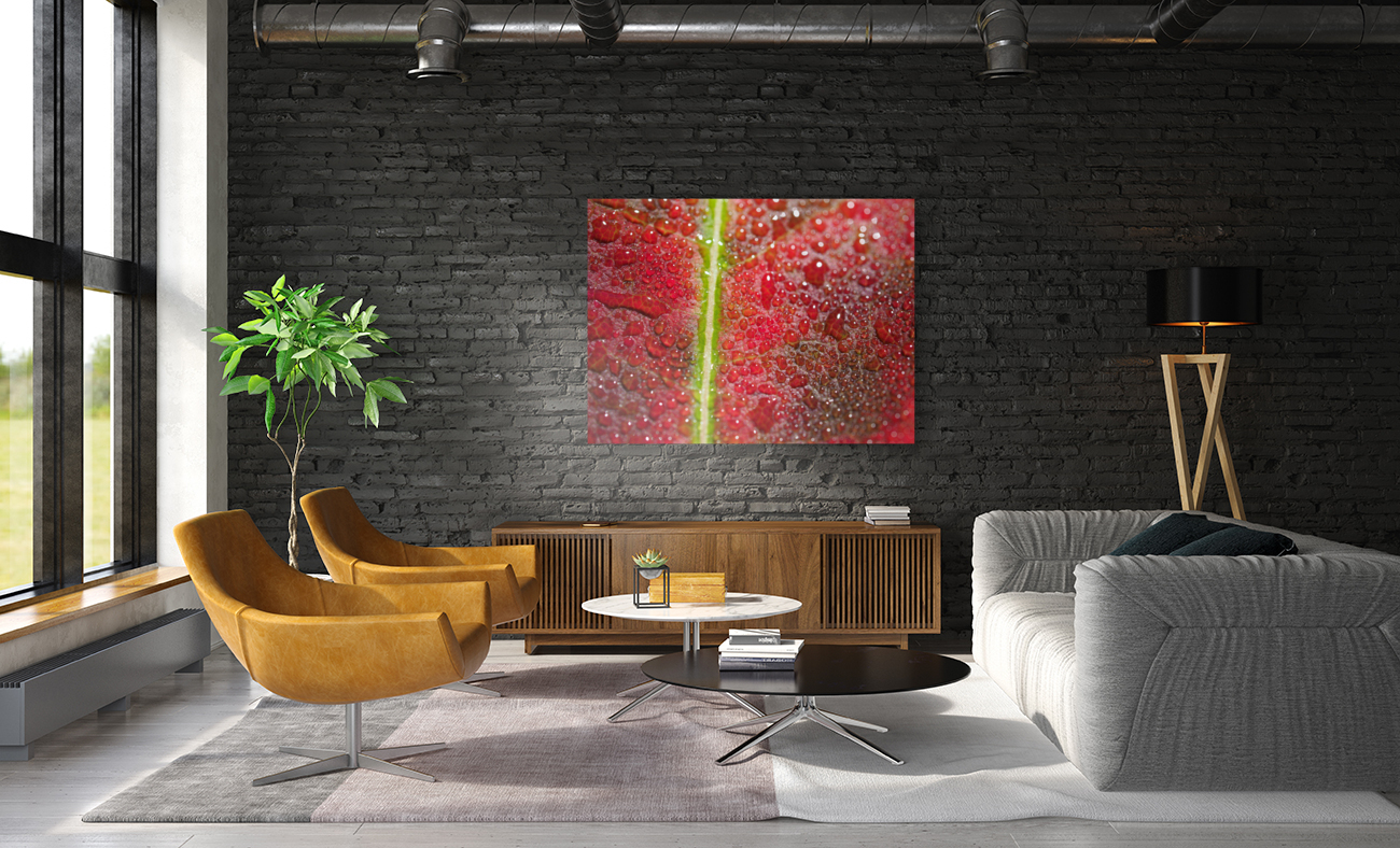 Maple Leaf Reproduction