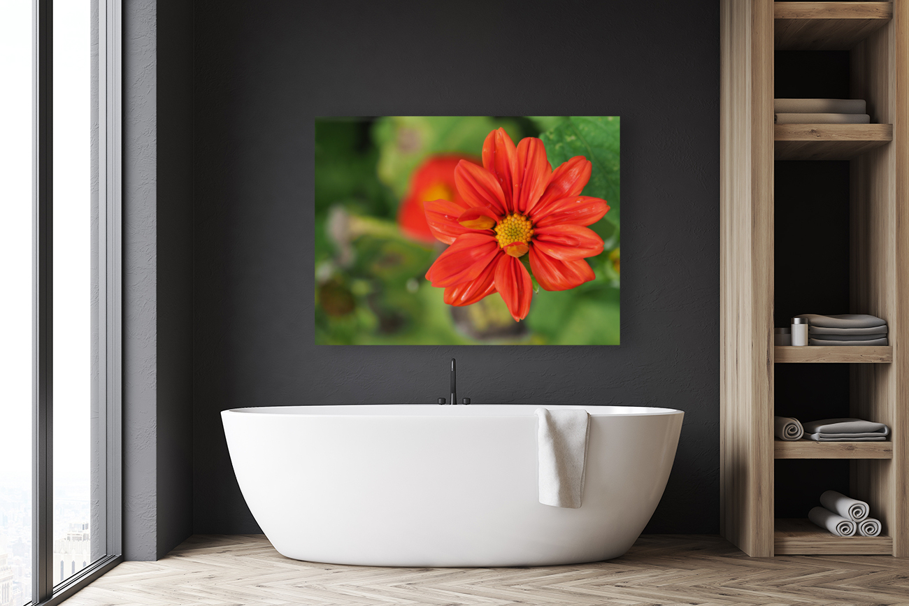 Red Dahlia Reproduction