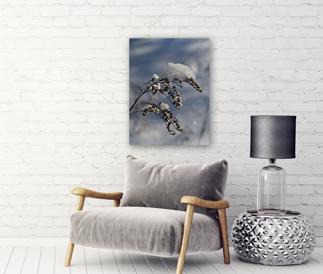 Frosted Twig Reproduction