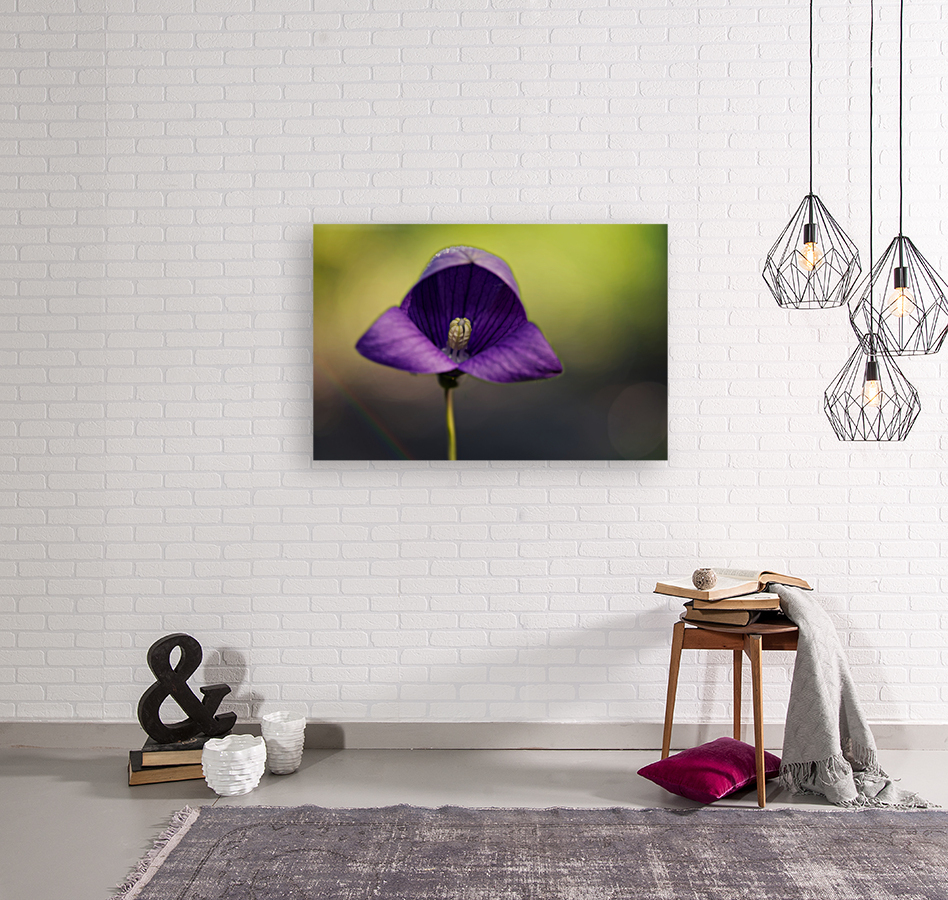 Welcome Reproduction