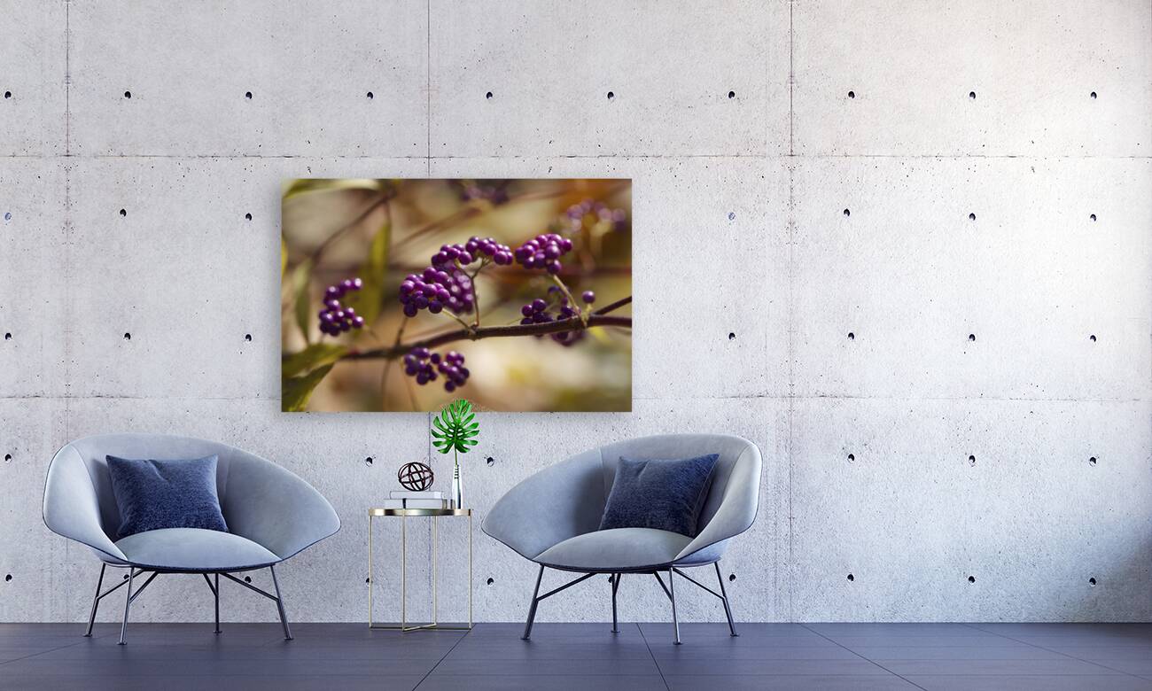 Profusion Reproduction