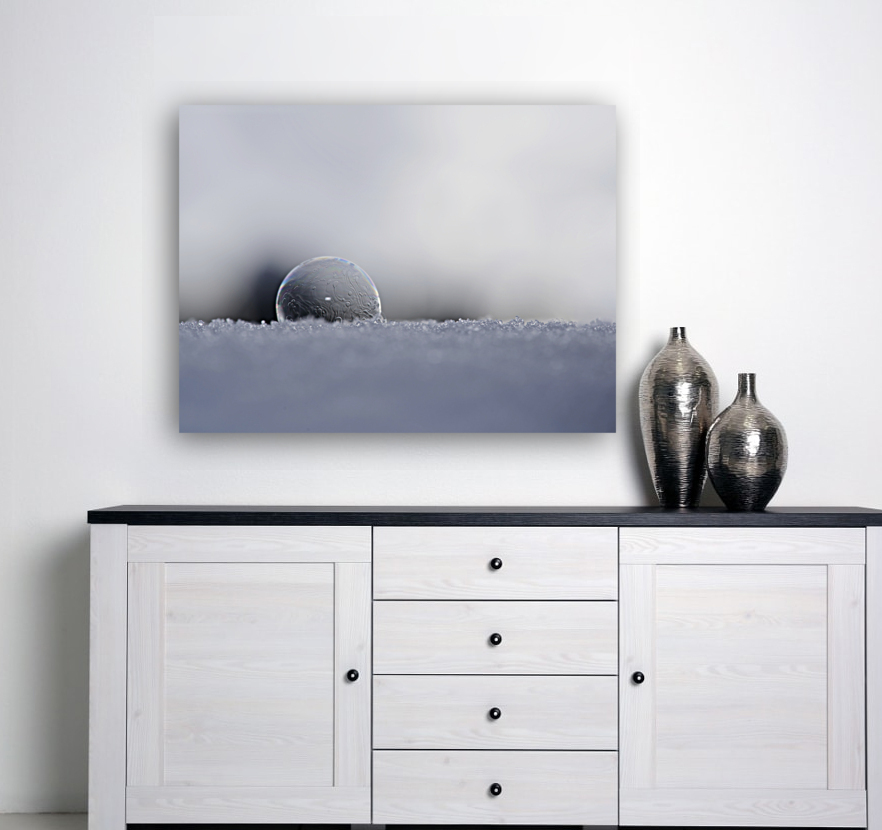 Soap Bubble Reproduction