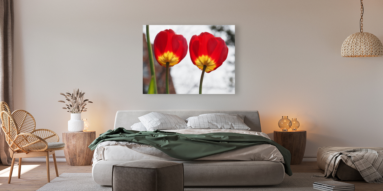 Twin Sisters Reproduction