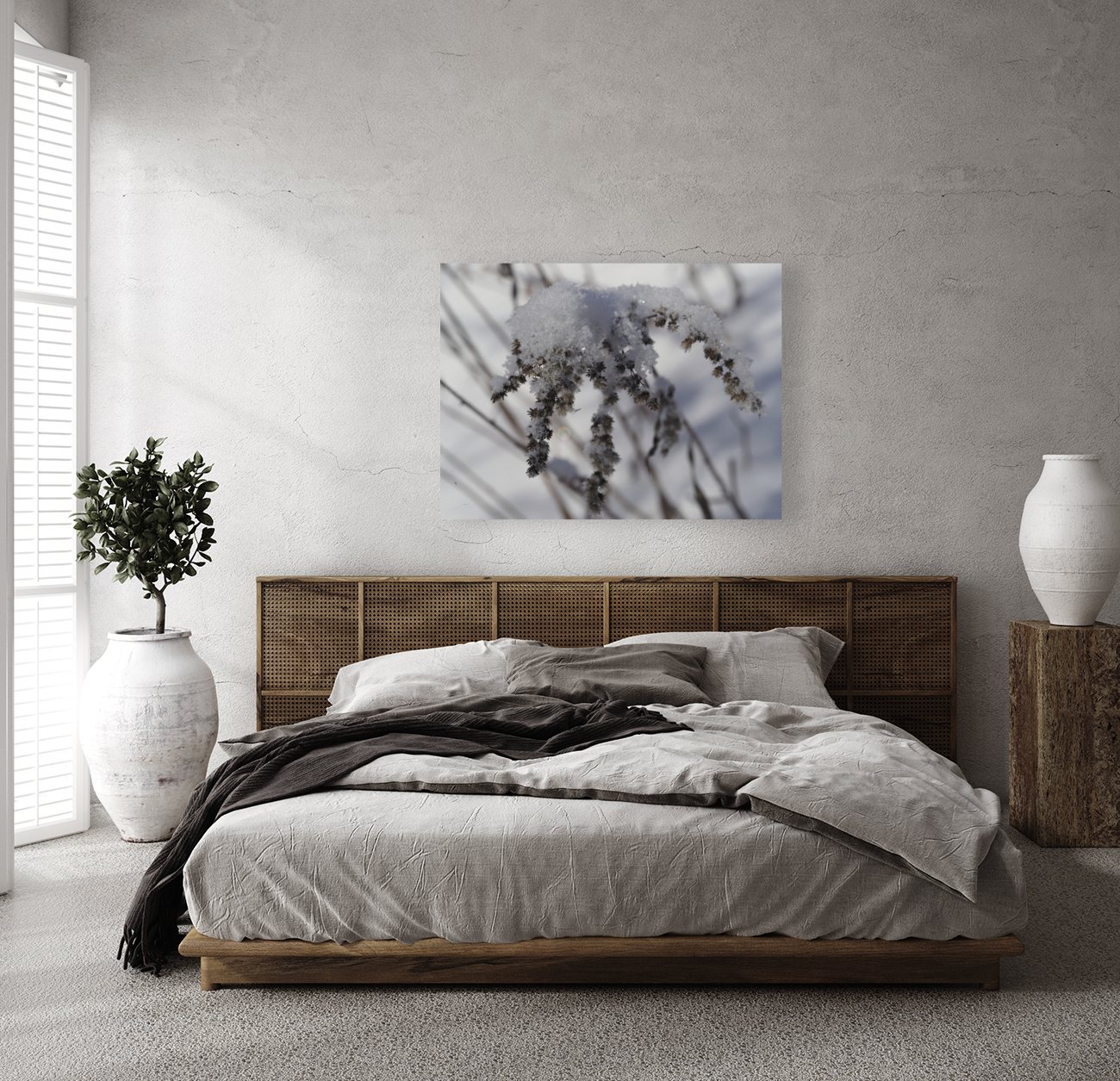 Frozen Goldenrod Reproduction