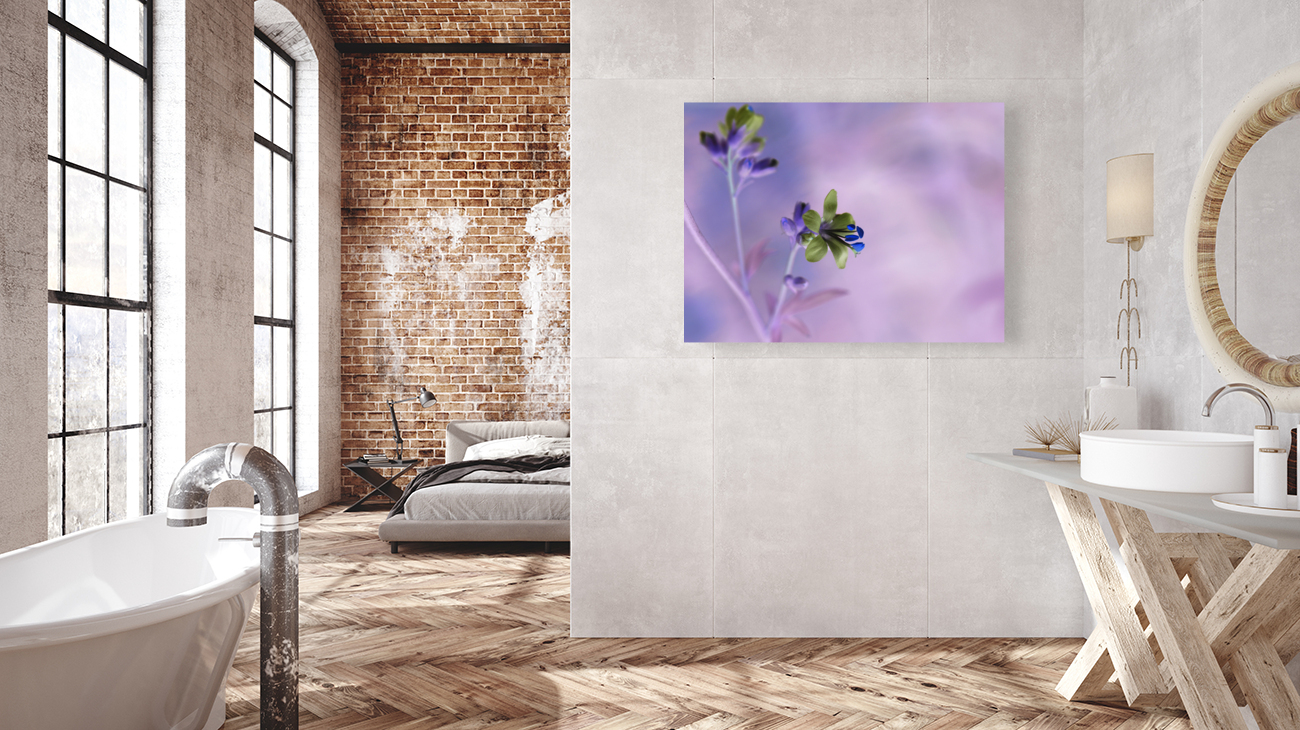 Jacob s Ladder Reproduction