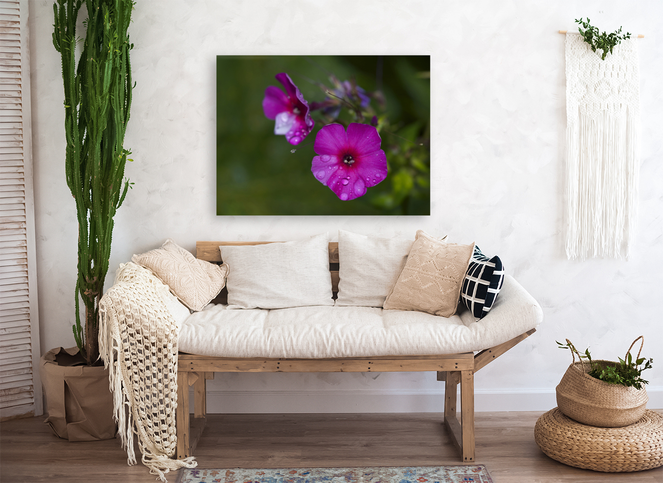 Garden Phlox with Droplets Reproduction