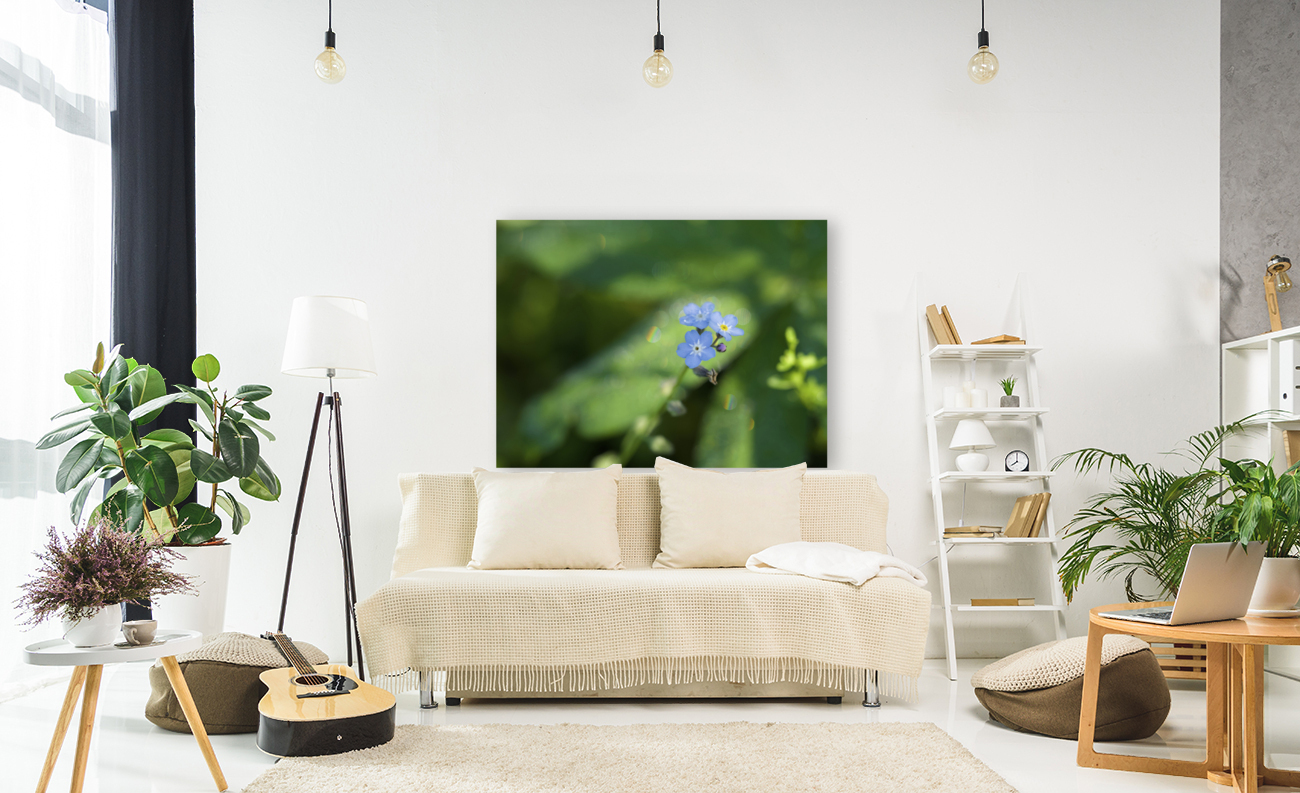 Forget Me Not with Tiny Rainbows Reproduction