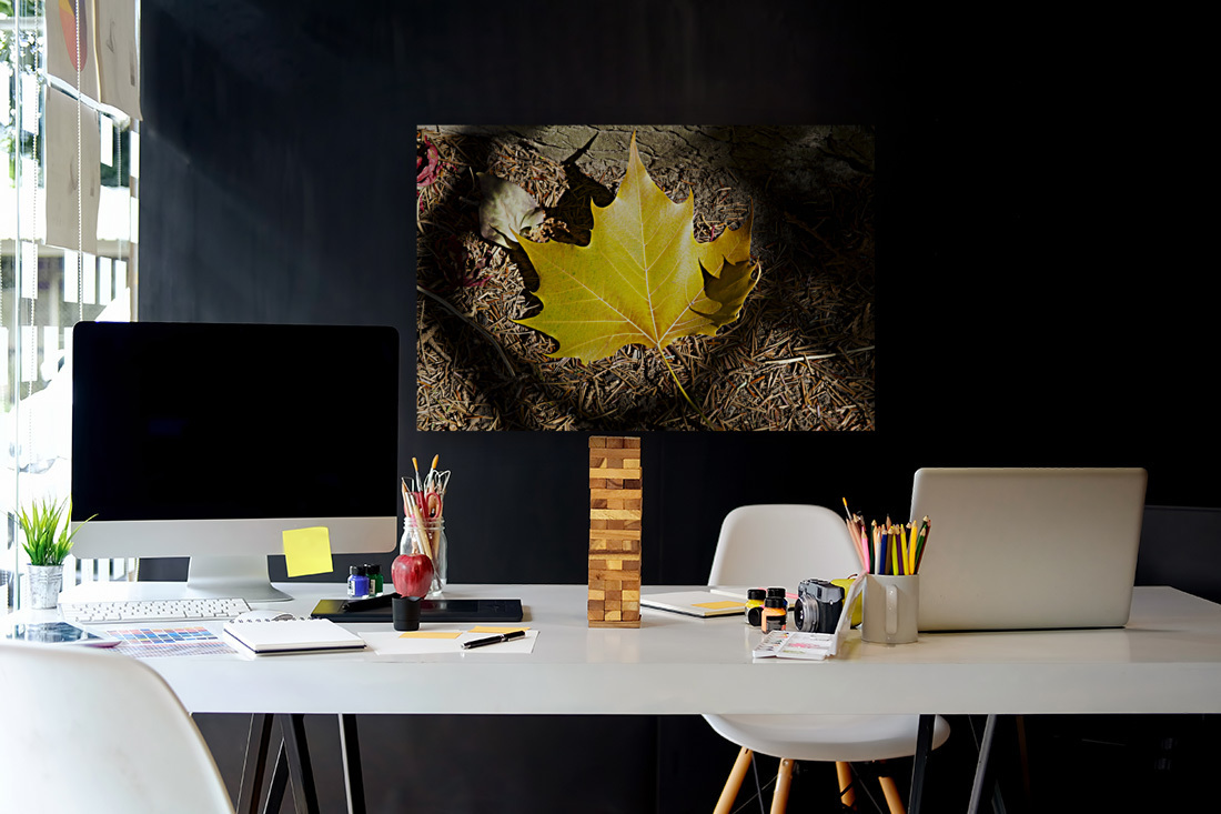 Single Maple Leaf Reproduction