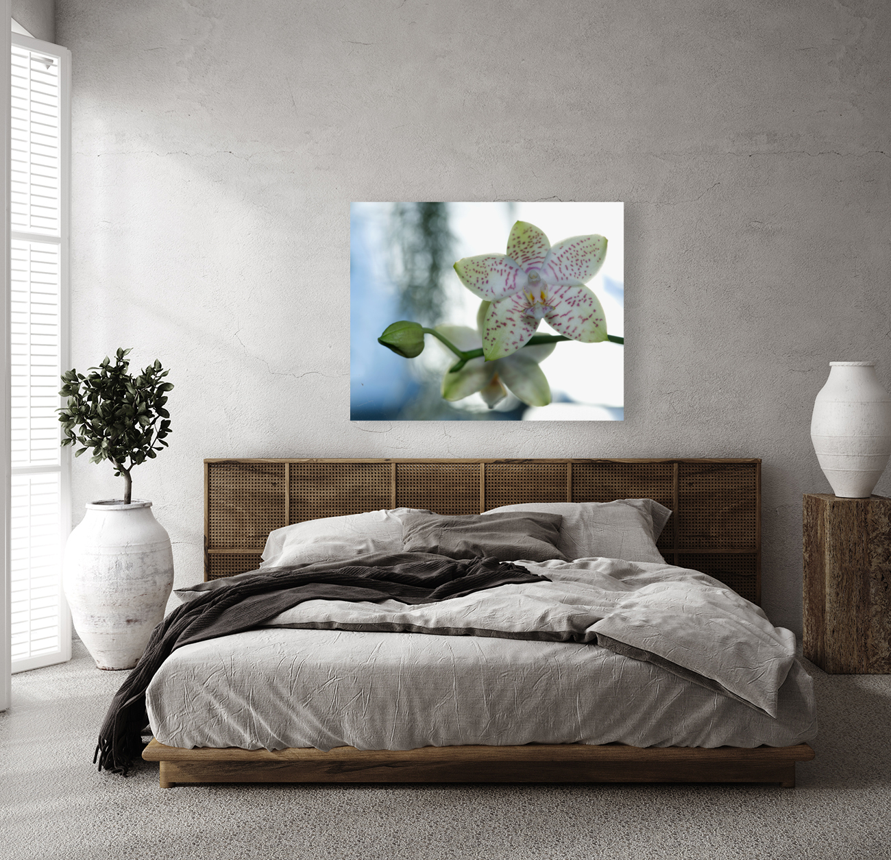 Ornamental Orchid Reproduction