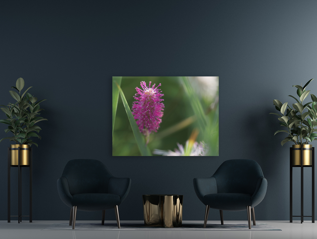 Lilac Squirrel Reproduction