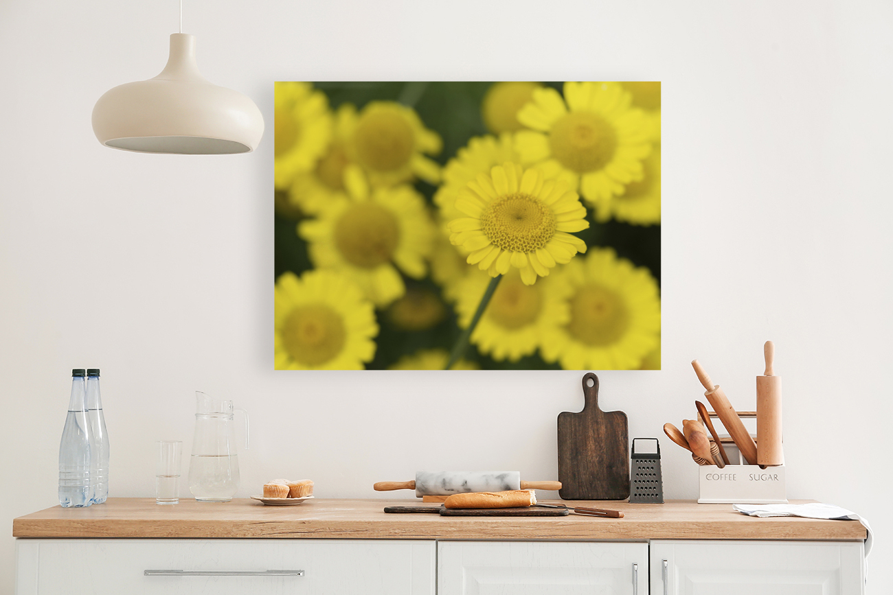 Summer Afternoon Reproduction