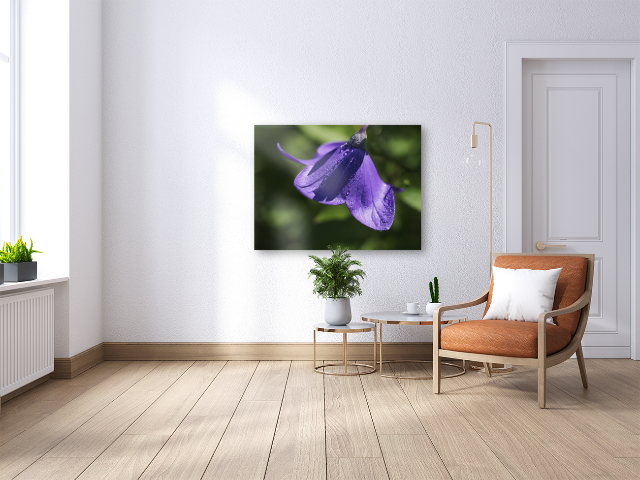 Dewdrops Reproduction