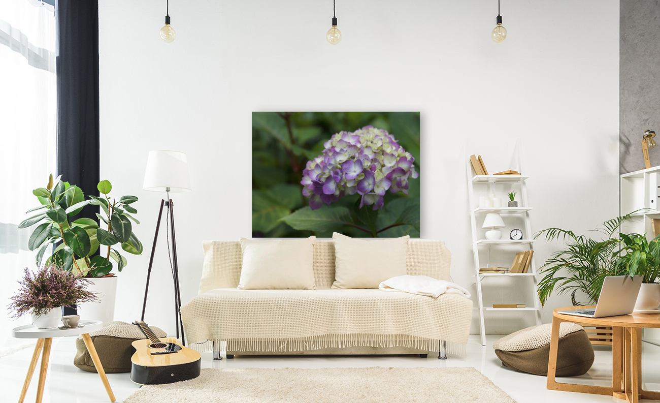 Endless Summer Reproduction