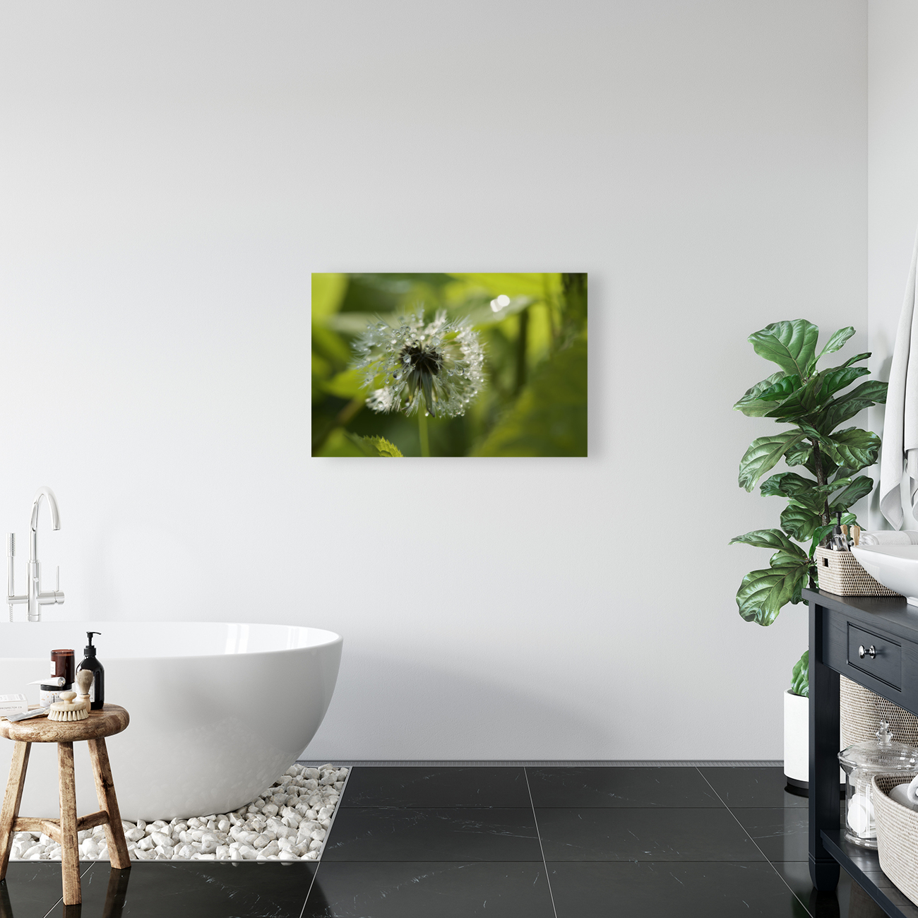 Dandelion with Droplets Reproduction