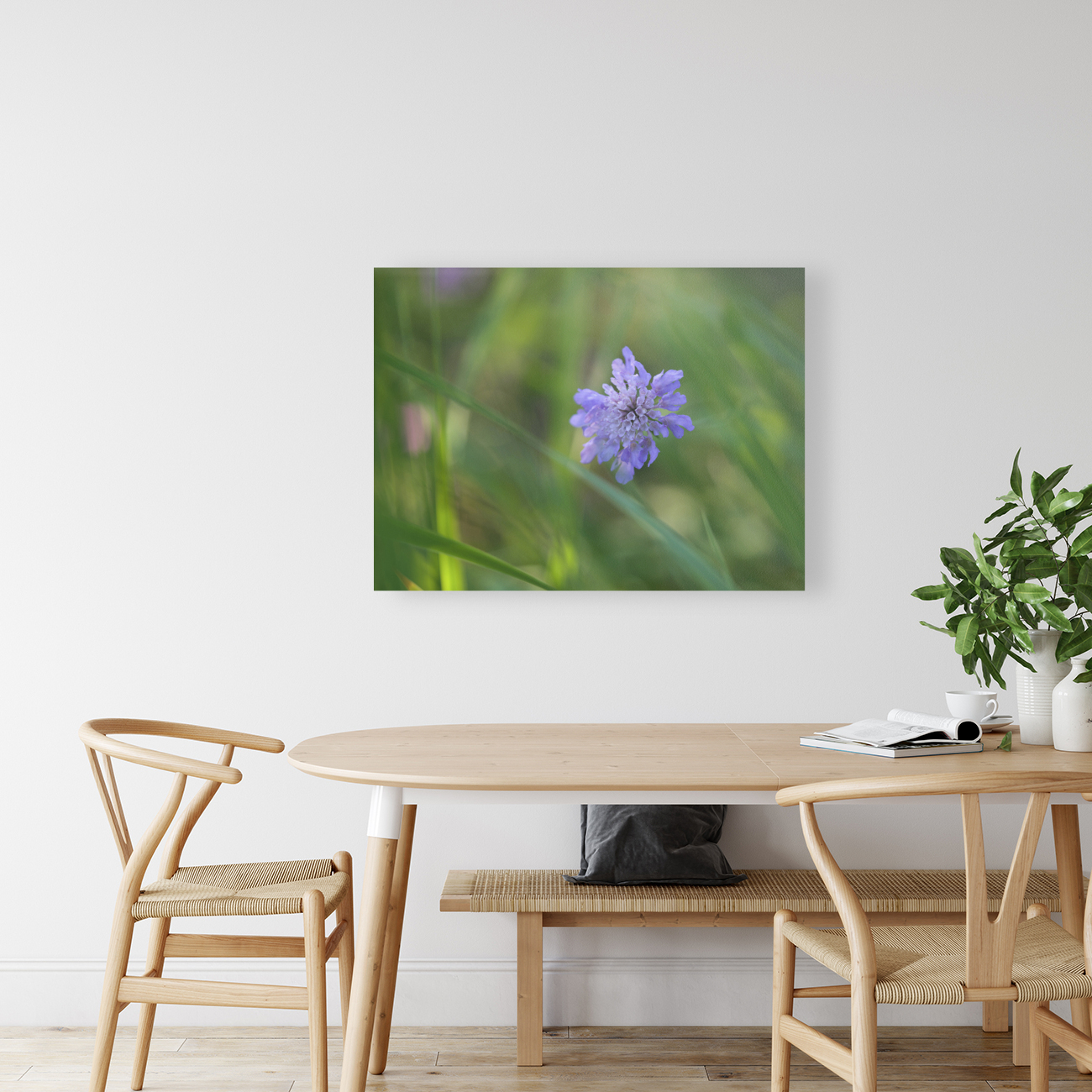 Butterfly Blue Reproduction