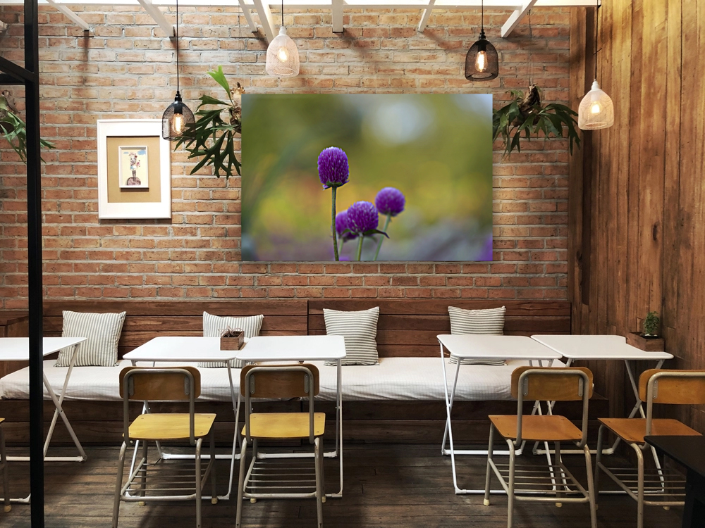 Globe Amaranth Reproduction