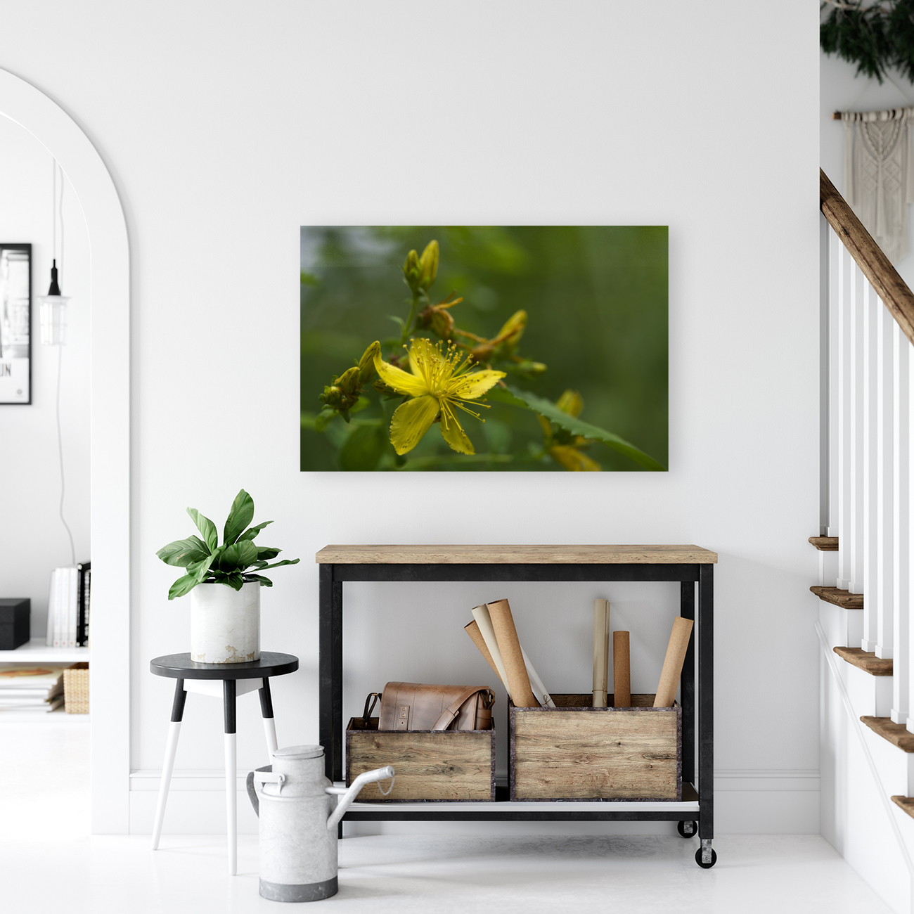 Goat Weed Reproduction