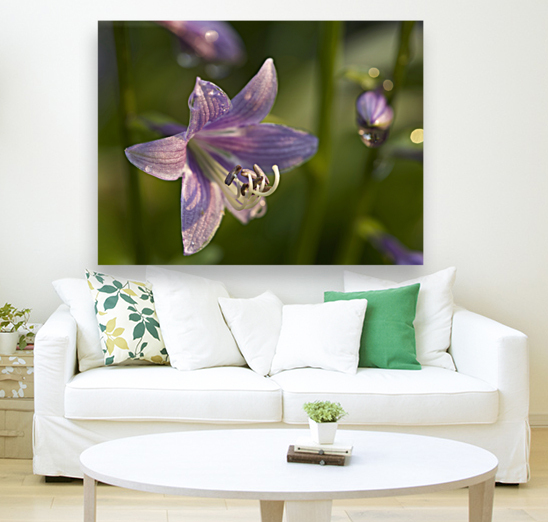 Hosta Flower Reproduction