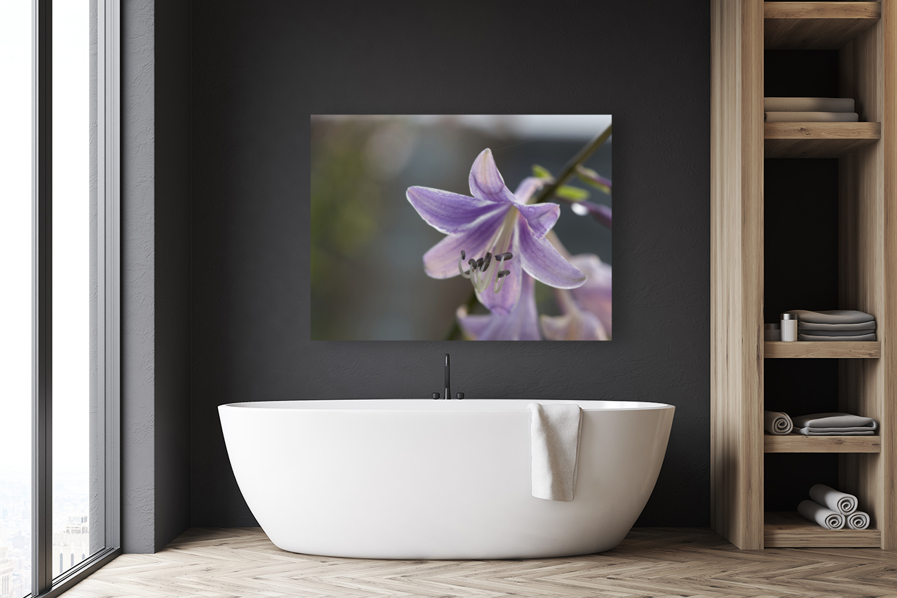 Hosta Closeup Reproduction