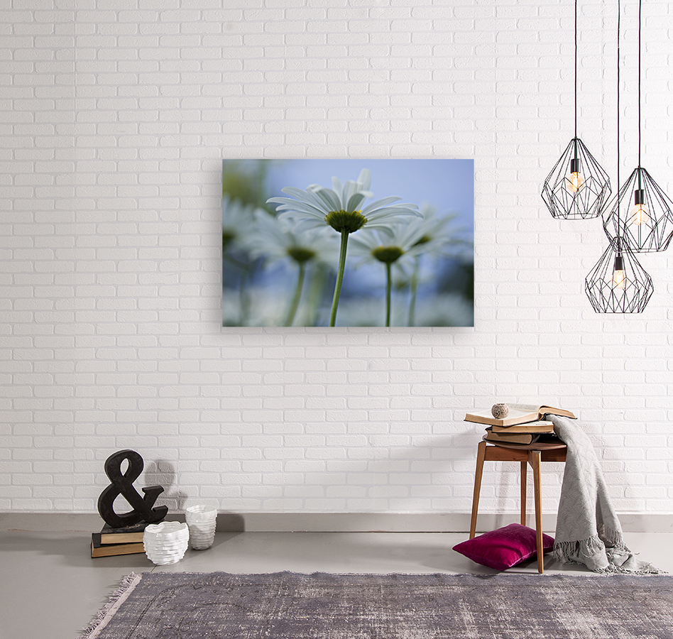 From Under Reproduction