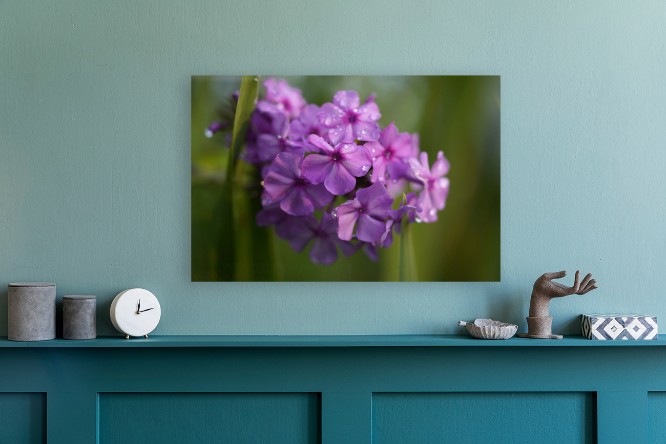 Purple Flame Reproduction