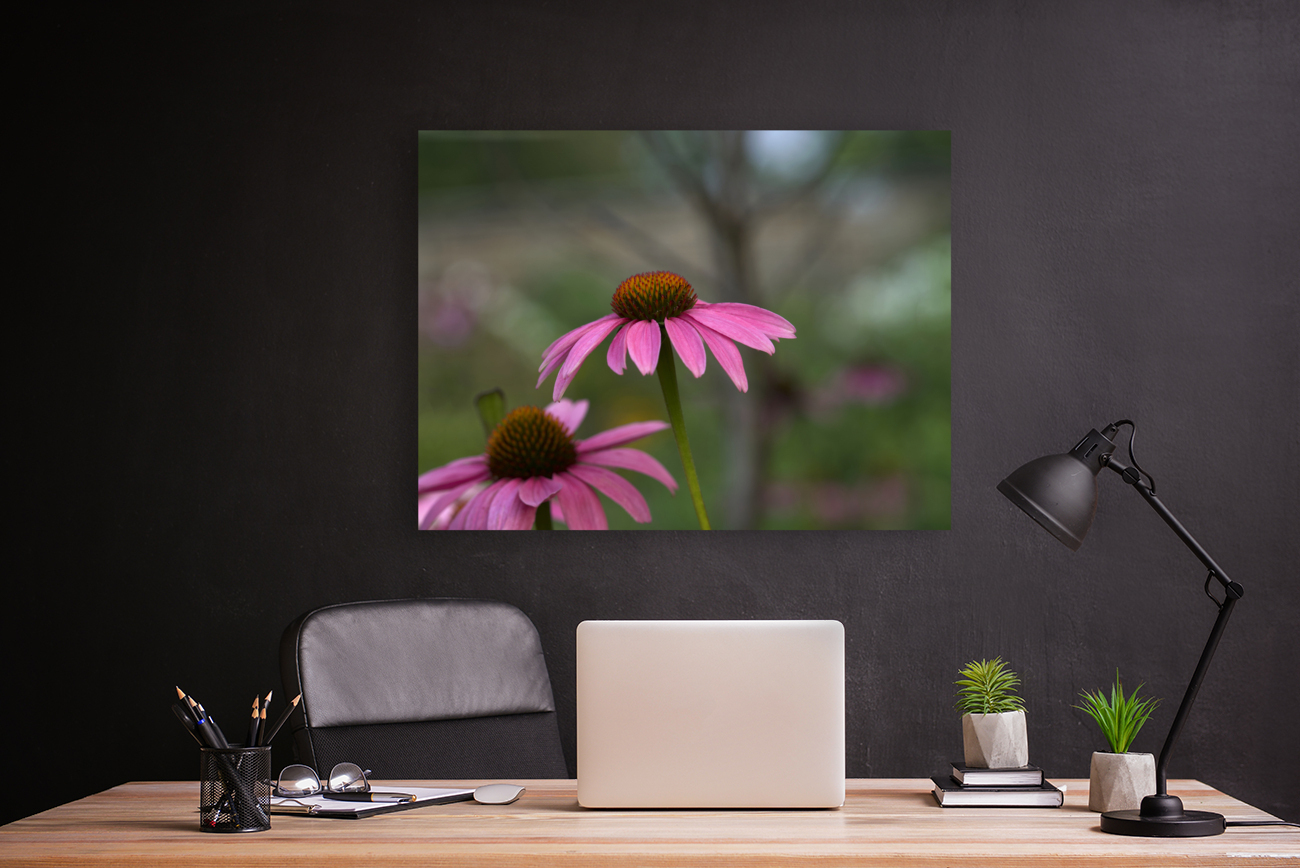 Ladies in Pink Reproduction