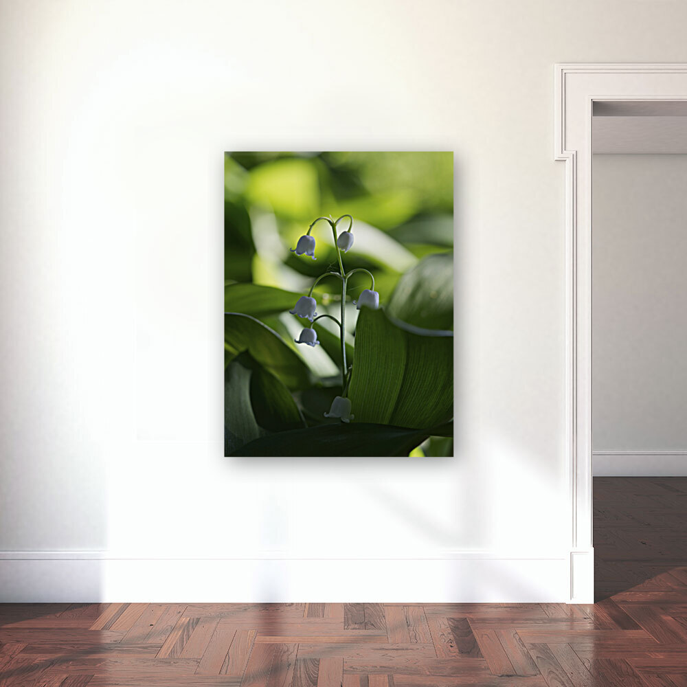 Muguet des Bois Reproduction