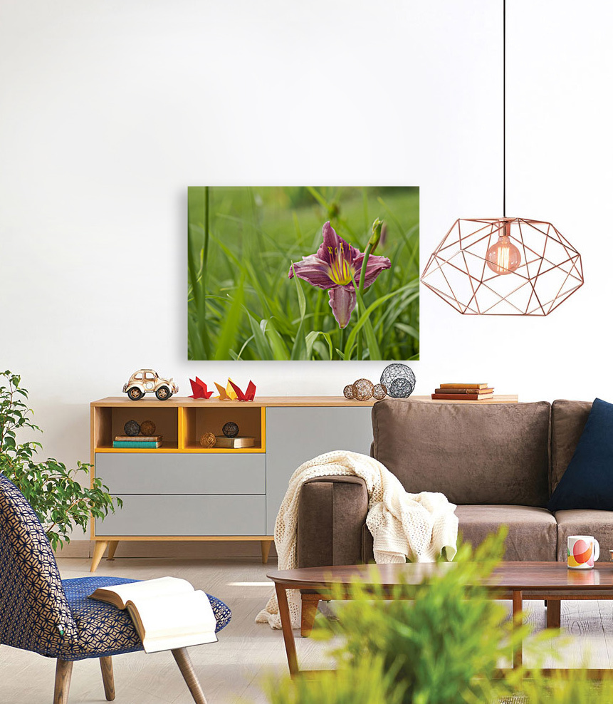 Pretty in Pink Reproduction