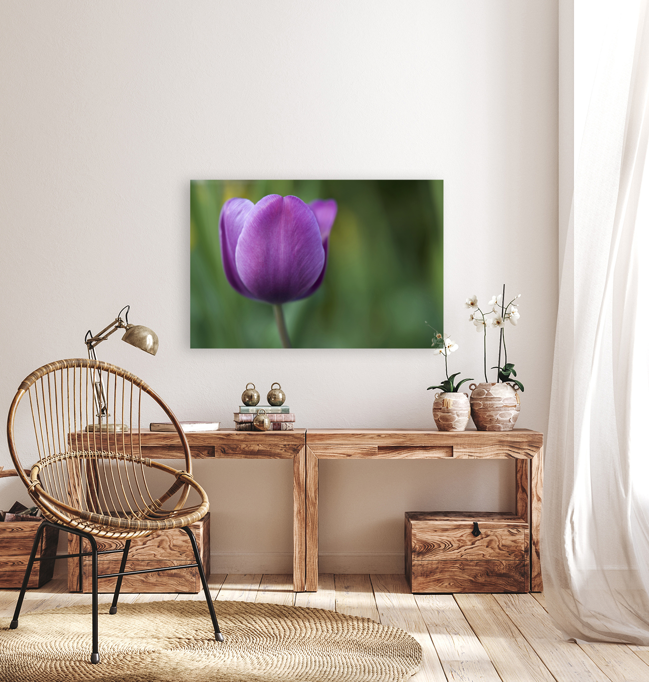 Plump Purple Tulip Reproduction