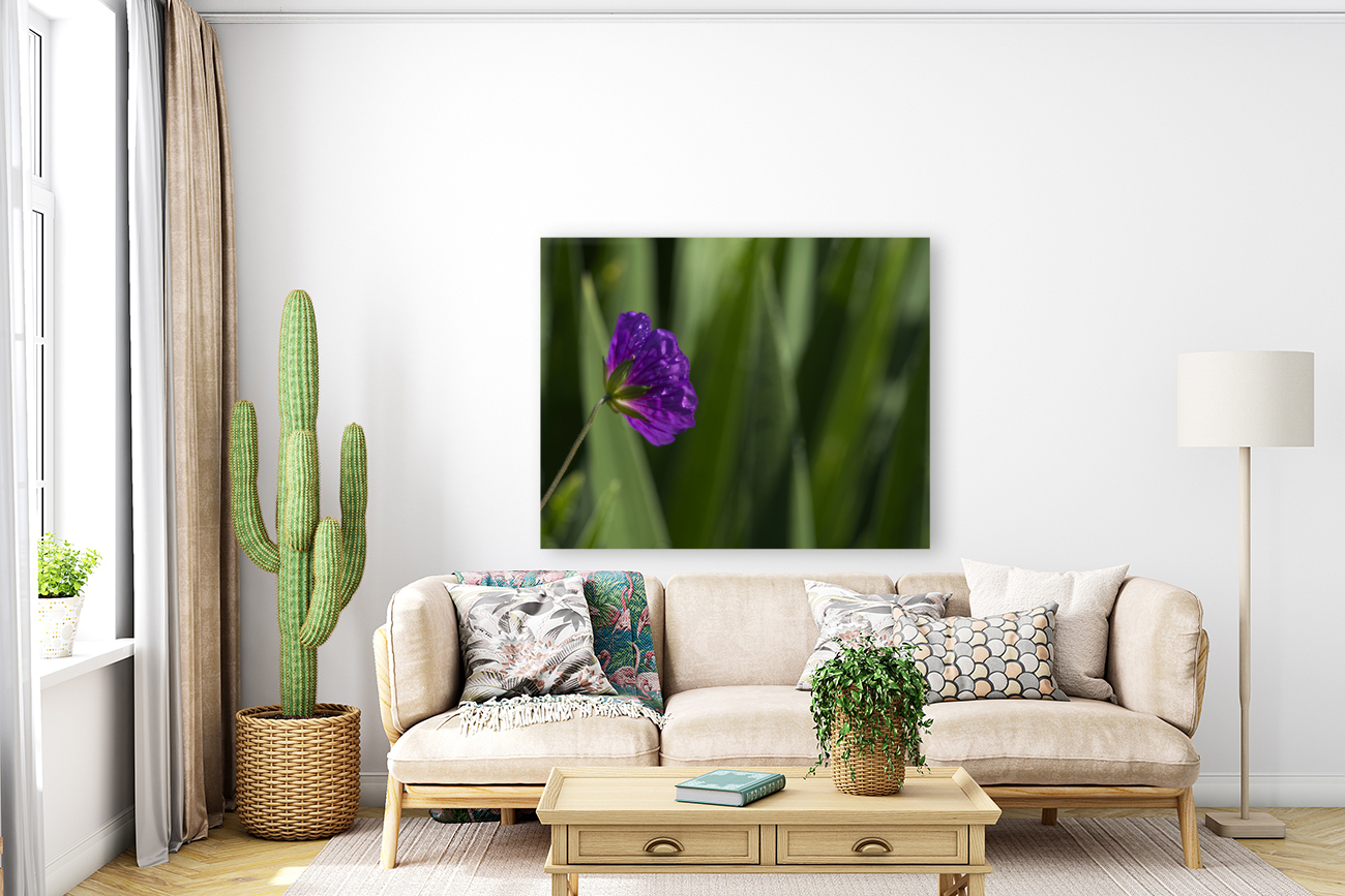 Purple Pretty Reproduction