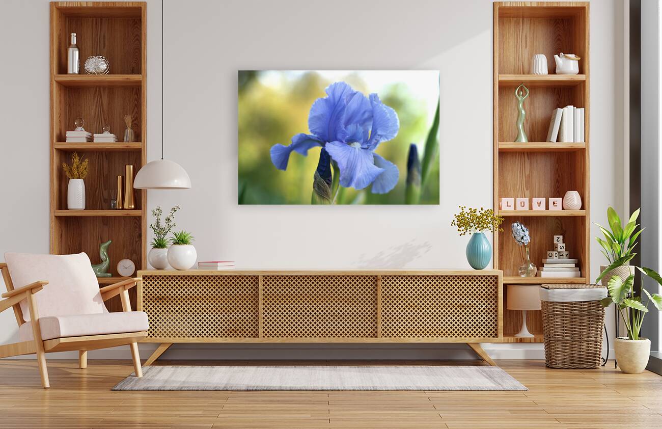 Lucky Devil Reproduction