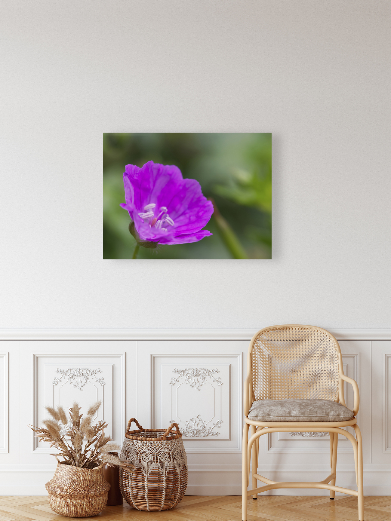 Wild One Reproduction