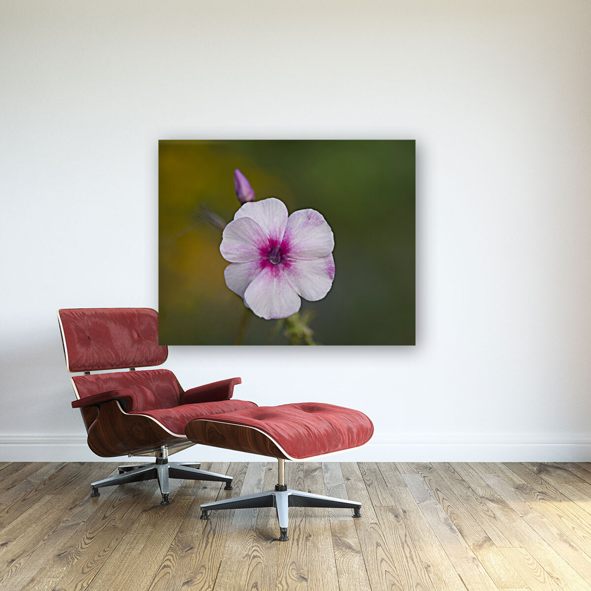 Summer Phlox Reproduction