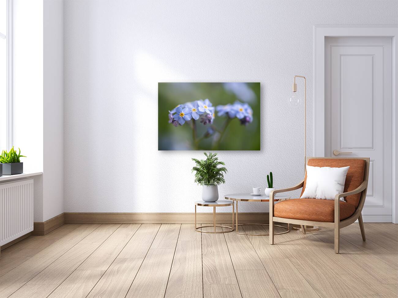 Scorption Grasses Reproduction