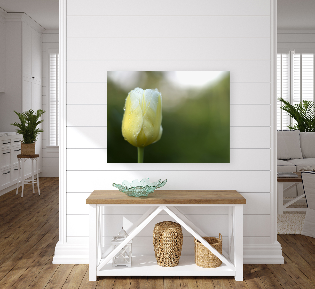 Yellow and White Tulip Reproduction